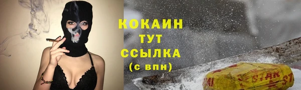 шишки Ладушкин