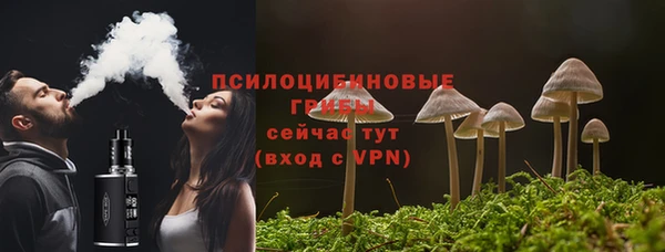 MDMA Лагань